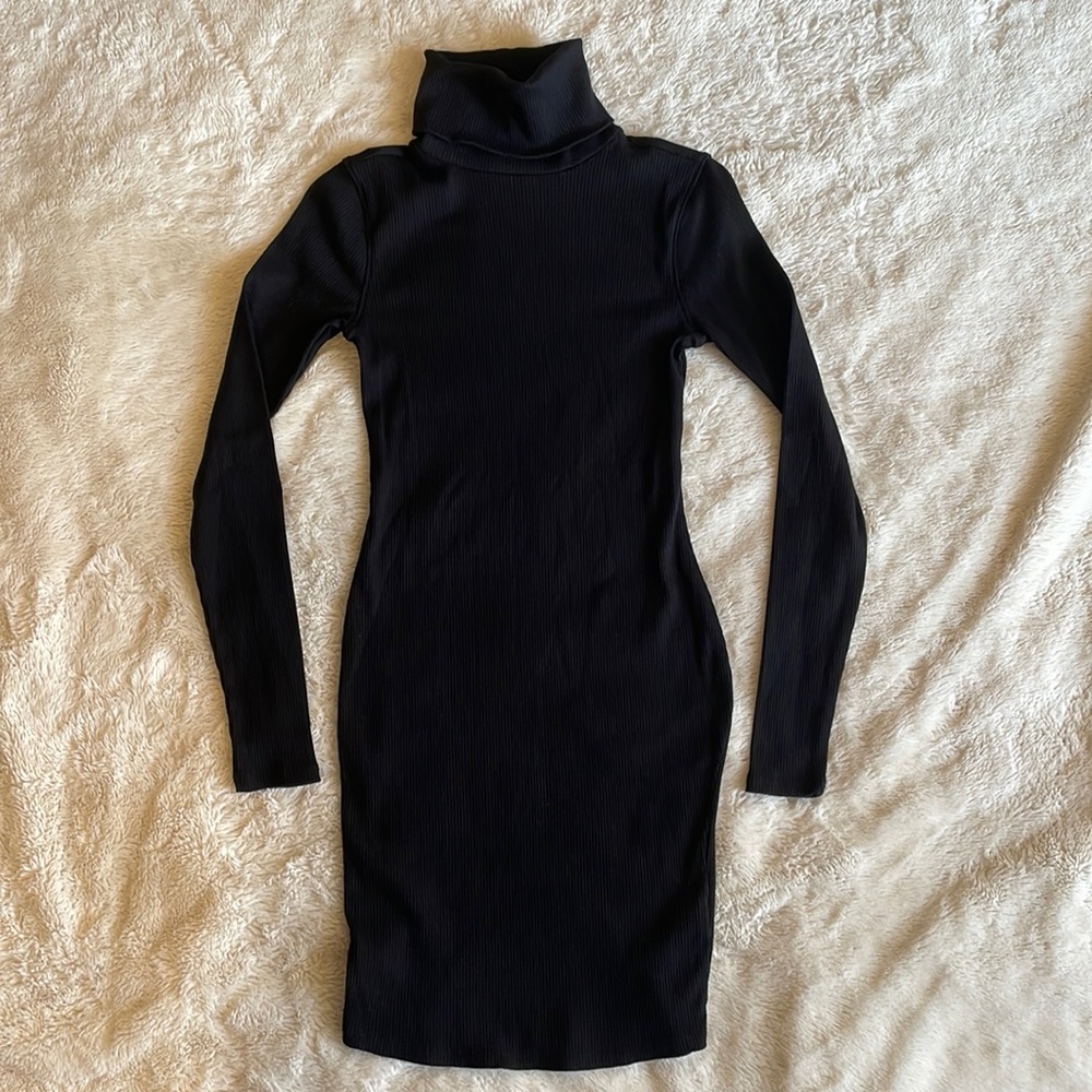 Wild Fable Long Sleeve Ribbed Turtle Neck Bodycon Dress